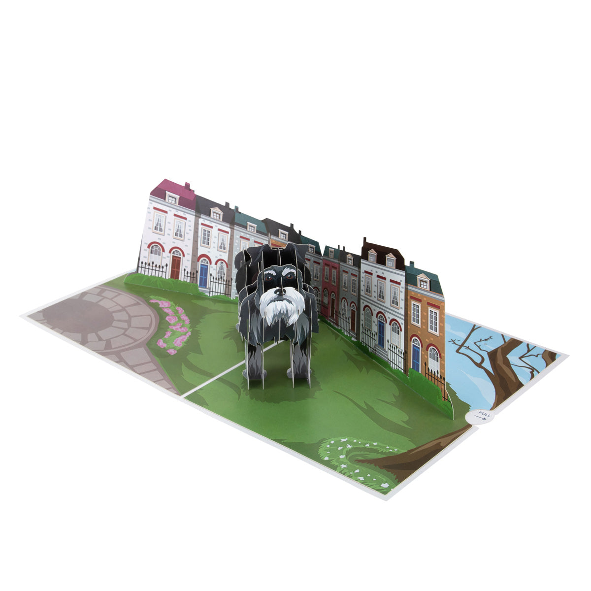 Miniature Schnauzer Dog Pop Up Greeting Card