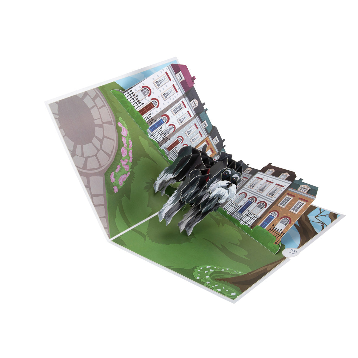 Miniature Schnauzer Dog Pop Up Greeting Card