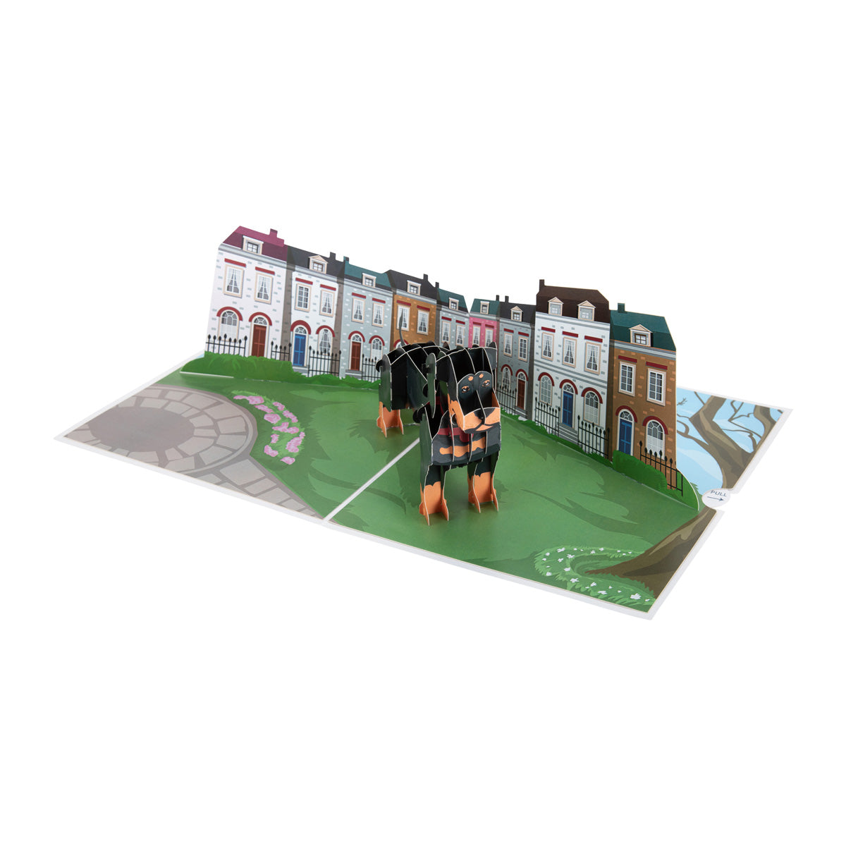 Dachshund Sausage Dog Pop Up Greeting Card