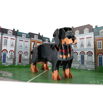 Dachshund Sausage Dog Pop Up Greeting Card