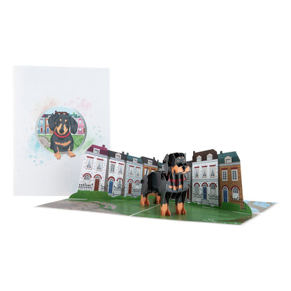 Dachshund Sausage Dog Pop Up Greeting Card