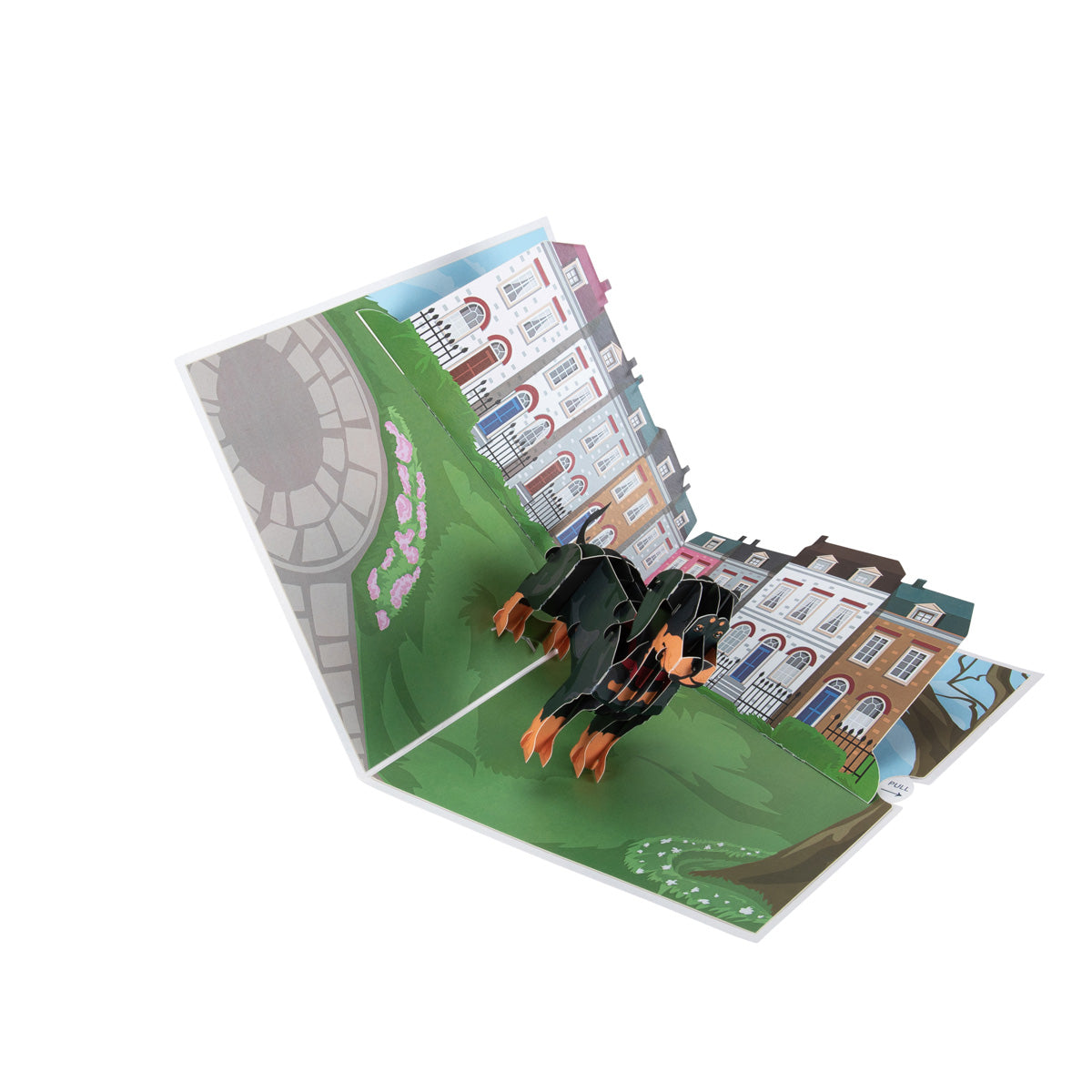 Dachshund Sausage Dog Pop Up Greeting Card