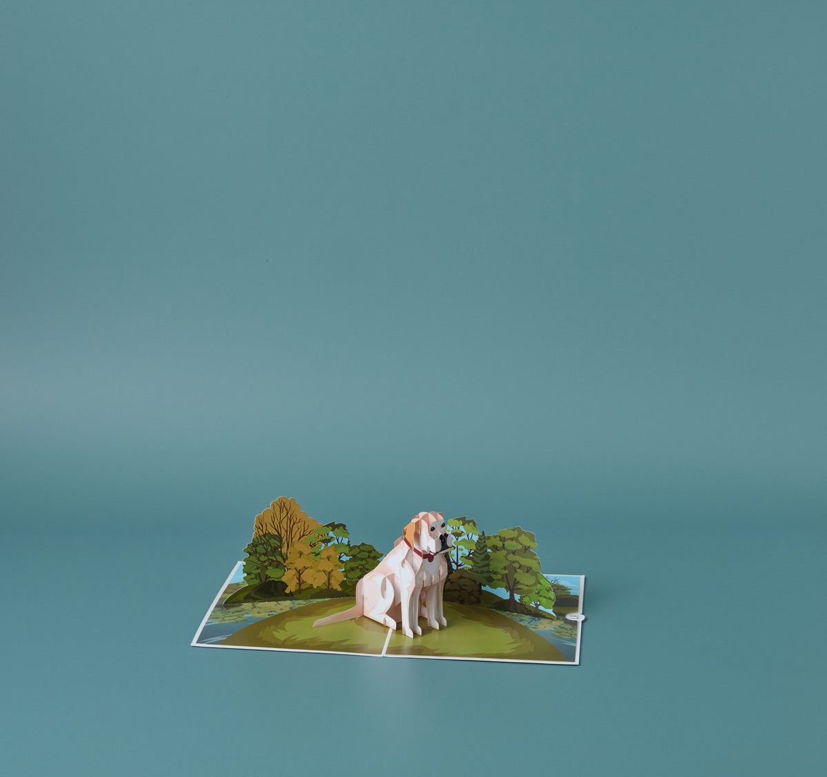 Golden Labrador Dog Pop Up Greeting Card