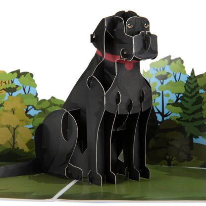 Black Labrador Dog Pop Up Greeting Card