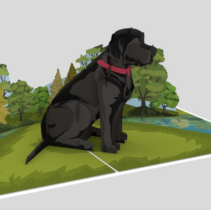 Black Labrador Dog Pop Up Greeting Card