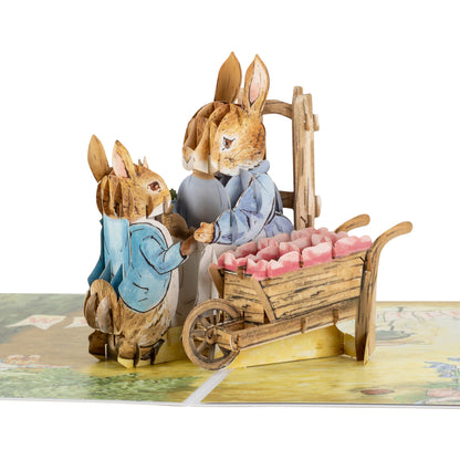 Peter Rabbit New Baby Girl Pop Up Greeting Card