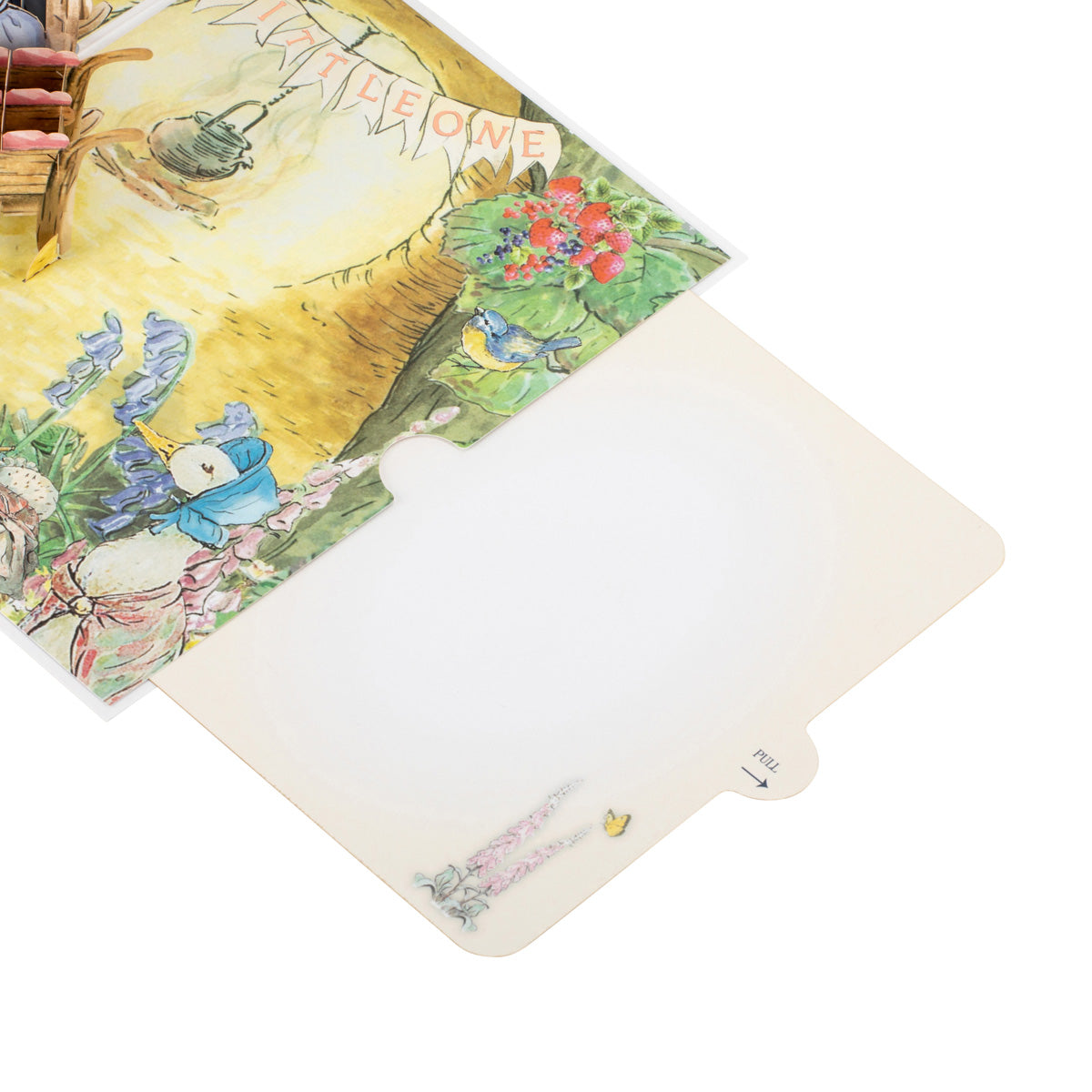 Peter Rabbit New Baby Girl Pop Up Greeting Card