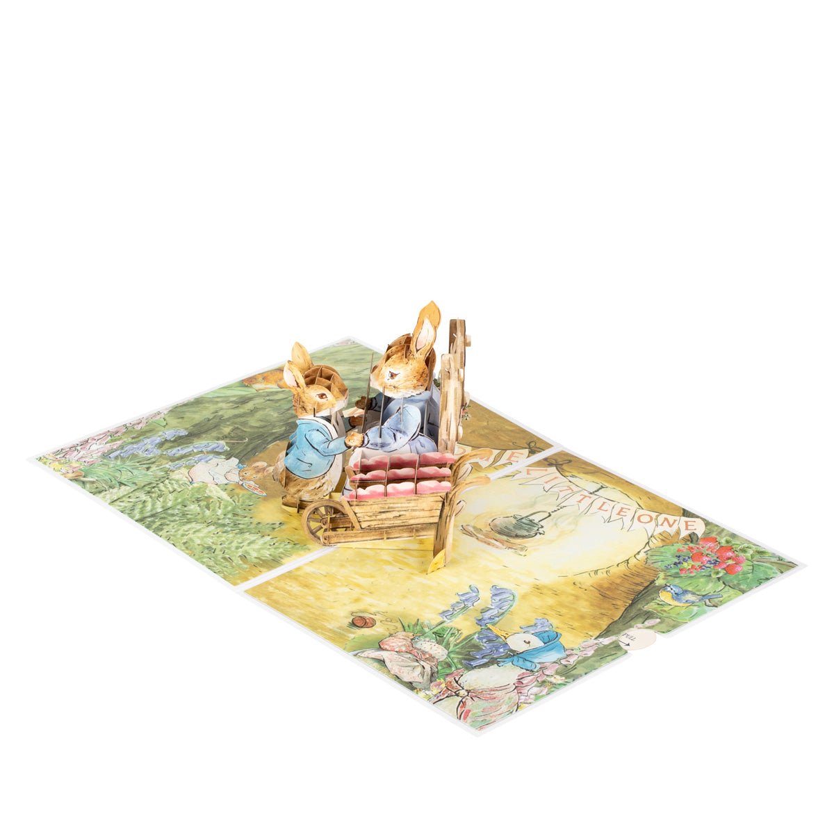 Peter Rabbit New Baby Girl Pop Up Greeting Card