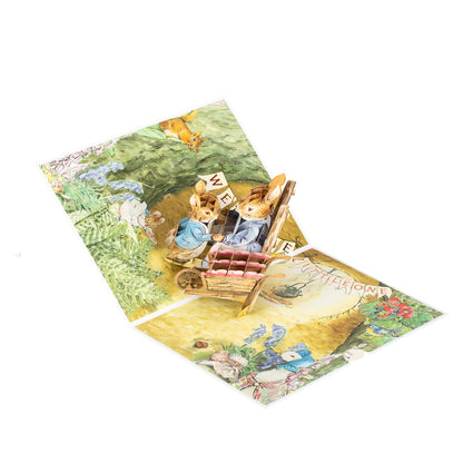 Peter Rabbit New Baby Girl Pop Up Greeting Card