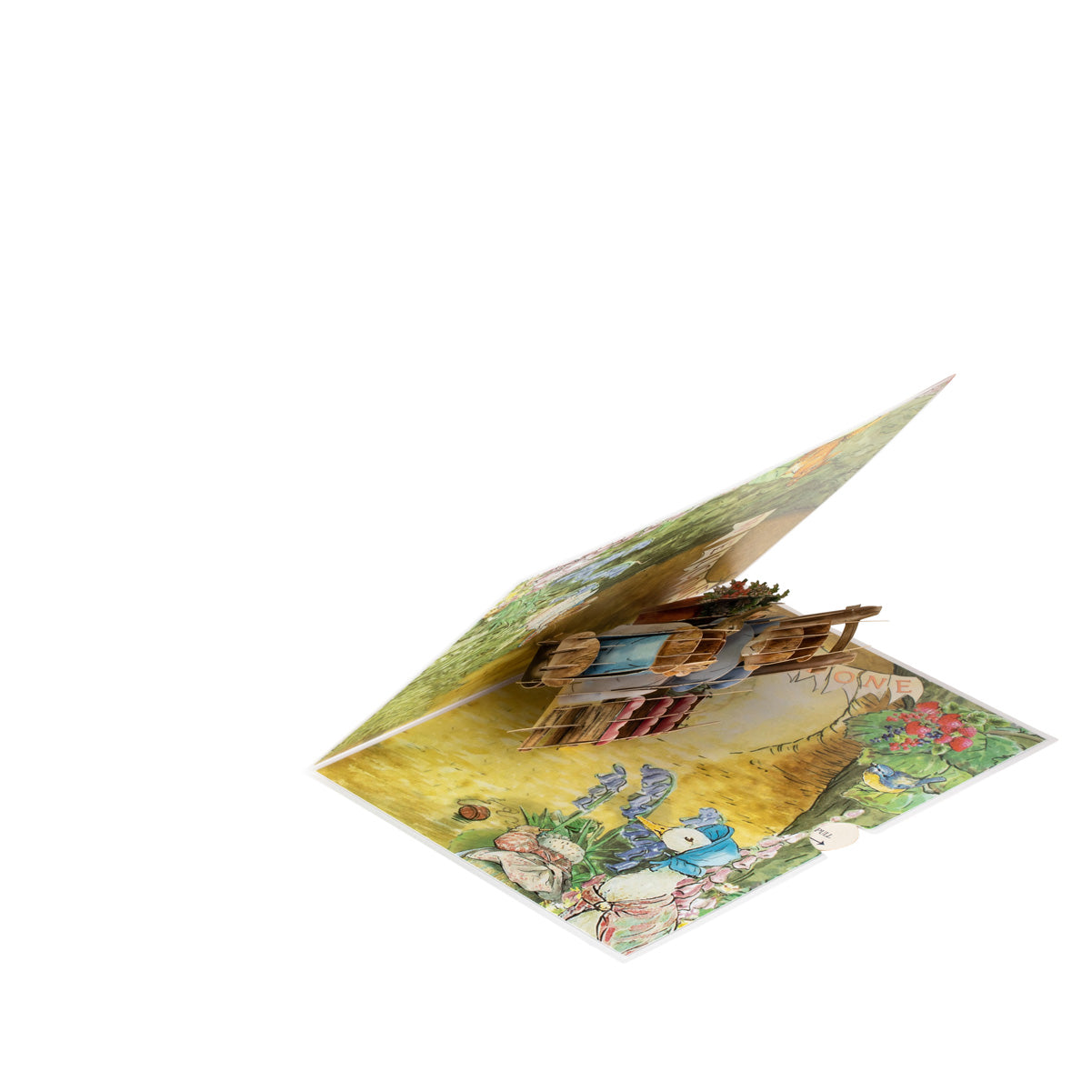 Peter Rabbit New Baby Girl Pop Up Greeting Card