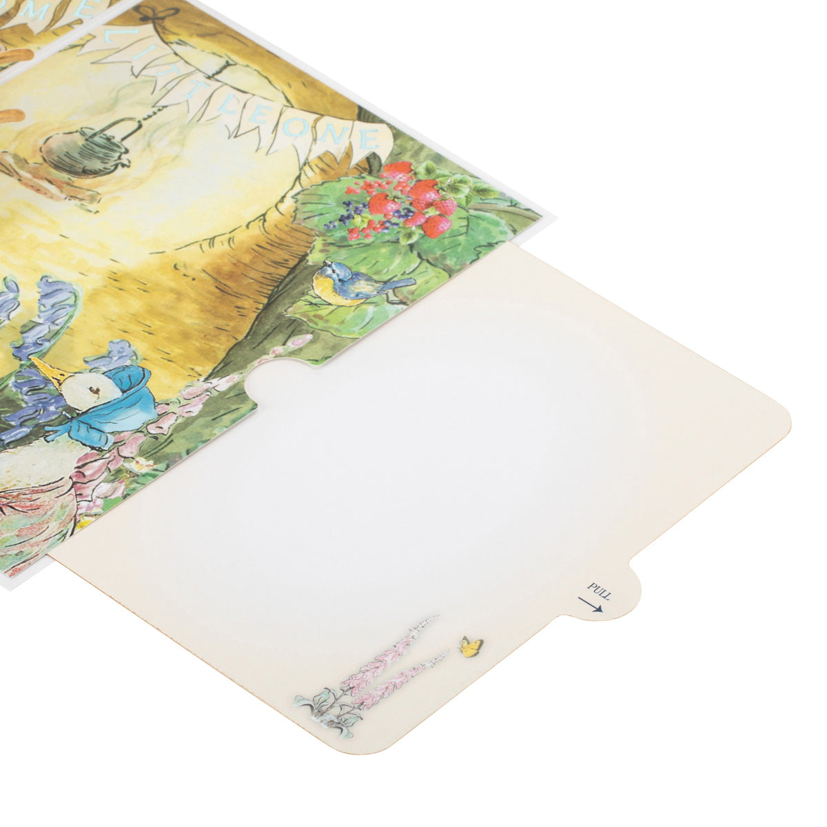 Peter Rabbit New Baby Boy Pop Up Greeting Card