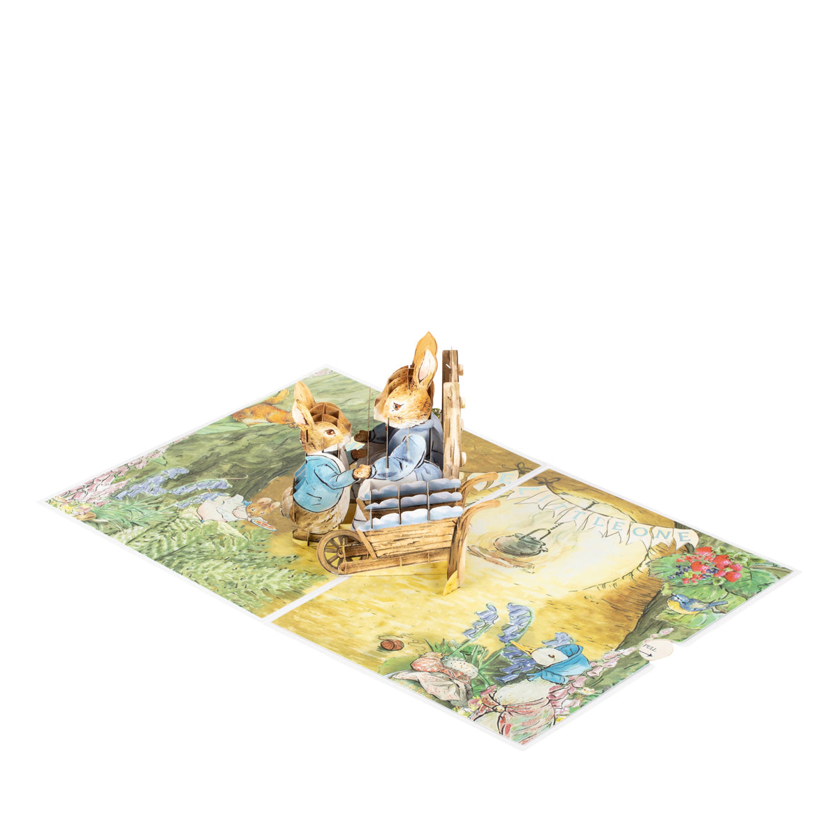 Peter Rabbit New Baby Boy Pop Up Greeting Card