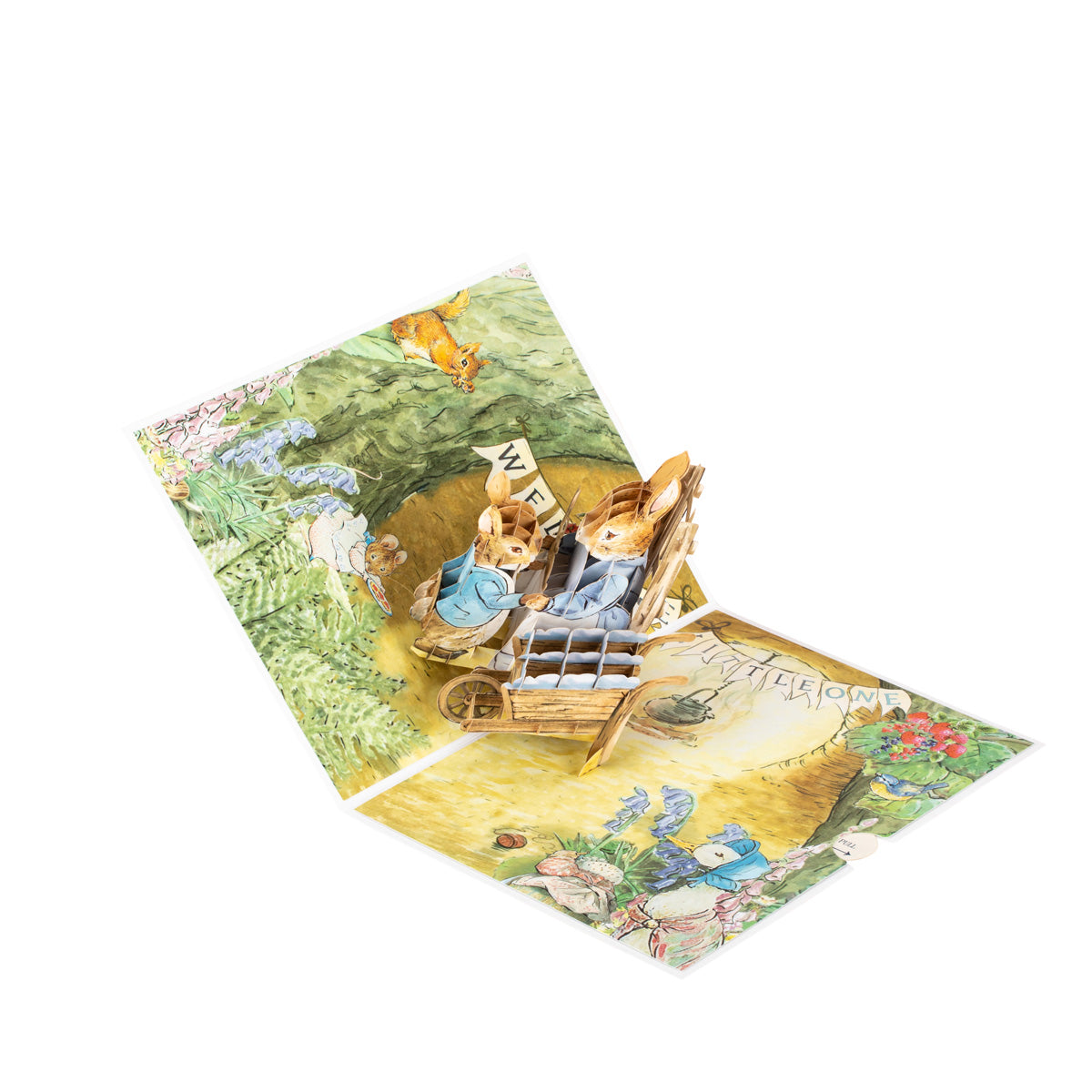 Peter Rabbit New Baby Boy Pop Up Greeting Card
