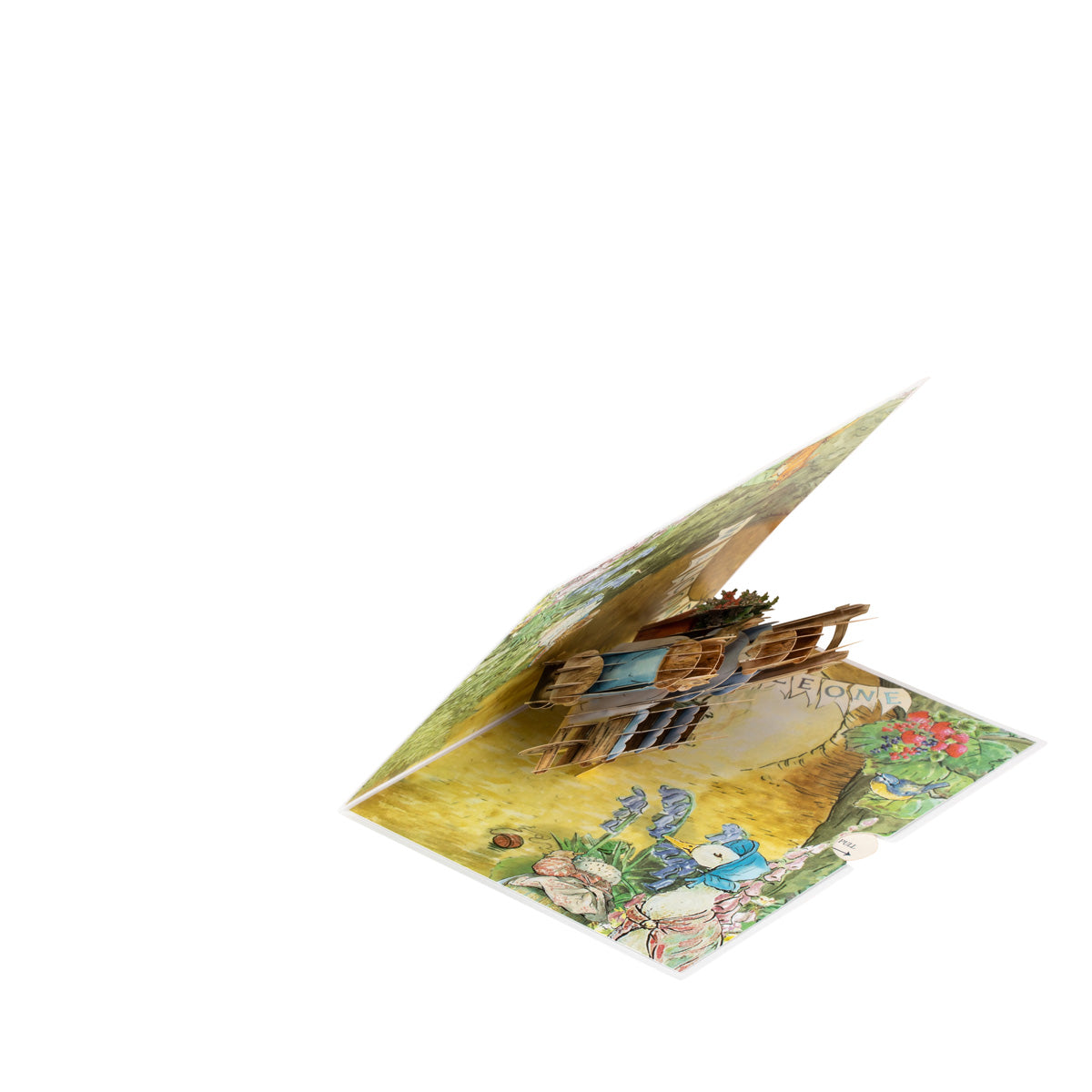 Peter Rabbit New Baby Boy Pop Up Greeting Card