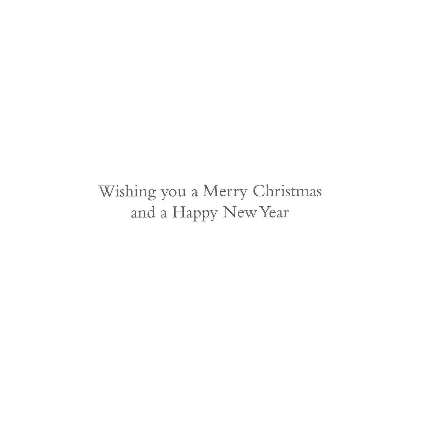Medici Box of 12 Christmas Cards Nativity Themed Luxury Xmas Cards In 3 Designs