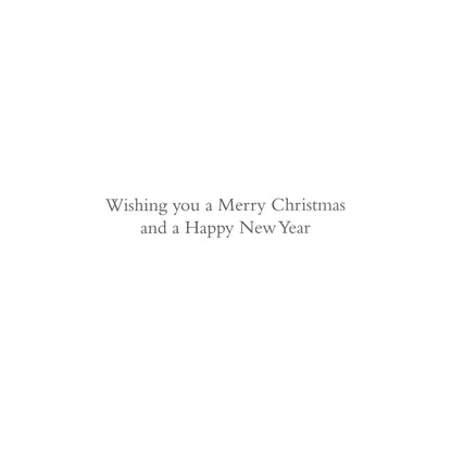 Medici Box of 12 Christmas Cards Nativity Themed Luxury Xmas Cards In 3 Designs