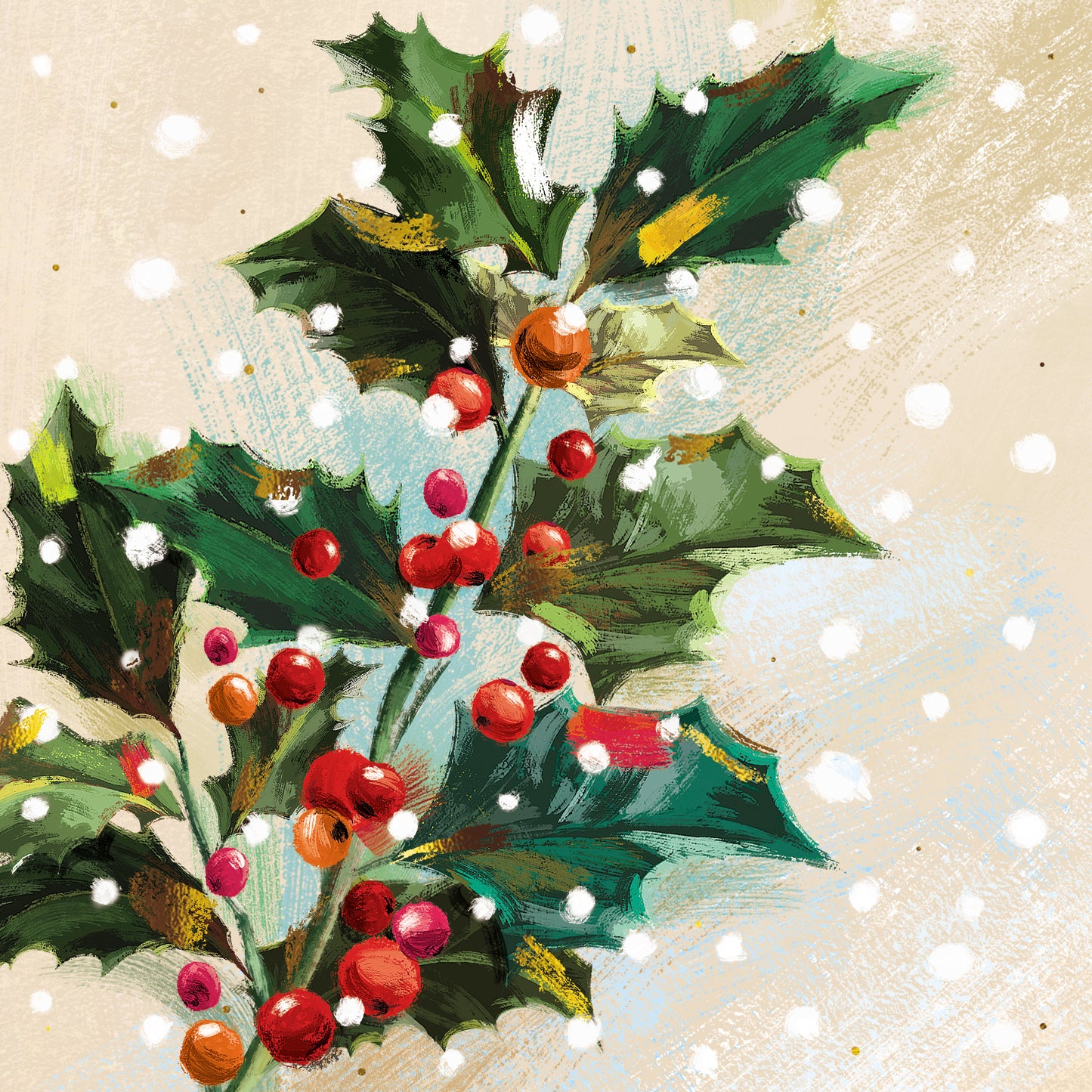 Box Of 12 Paper House Festive Xmas Flora Christmas Cards In 3 Designs