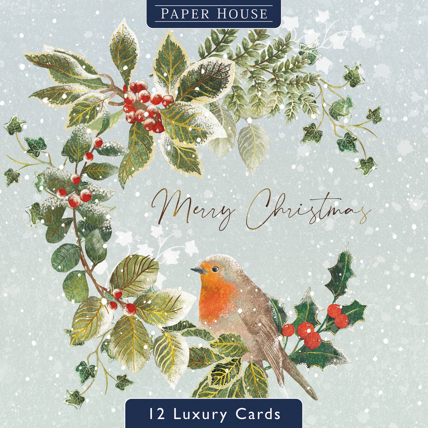 Box Of 12 Paper House Festive Xmas Robin Christmas Cards In 3 Designs