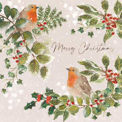 Box Of 12 Paper House Festive Xmas Robin Christmas Cards In 3 Designs