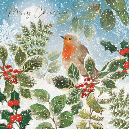 Box Of 12 Paper House Festive Xmas Robin Christmas Cards In 3 Designs