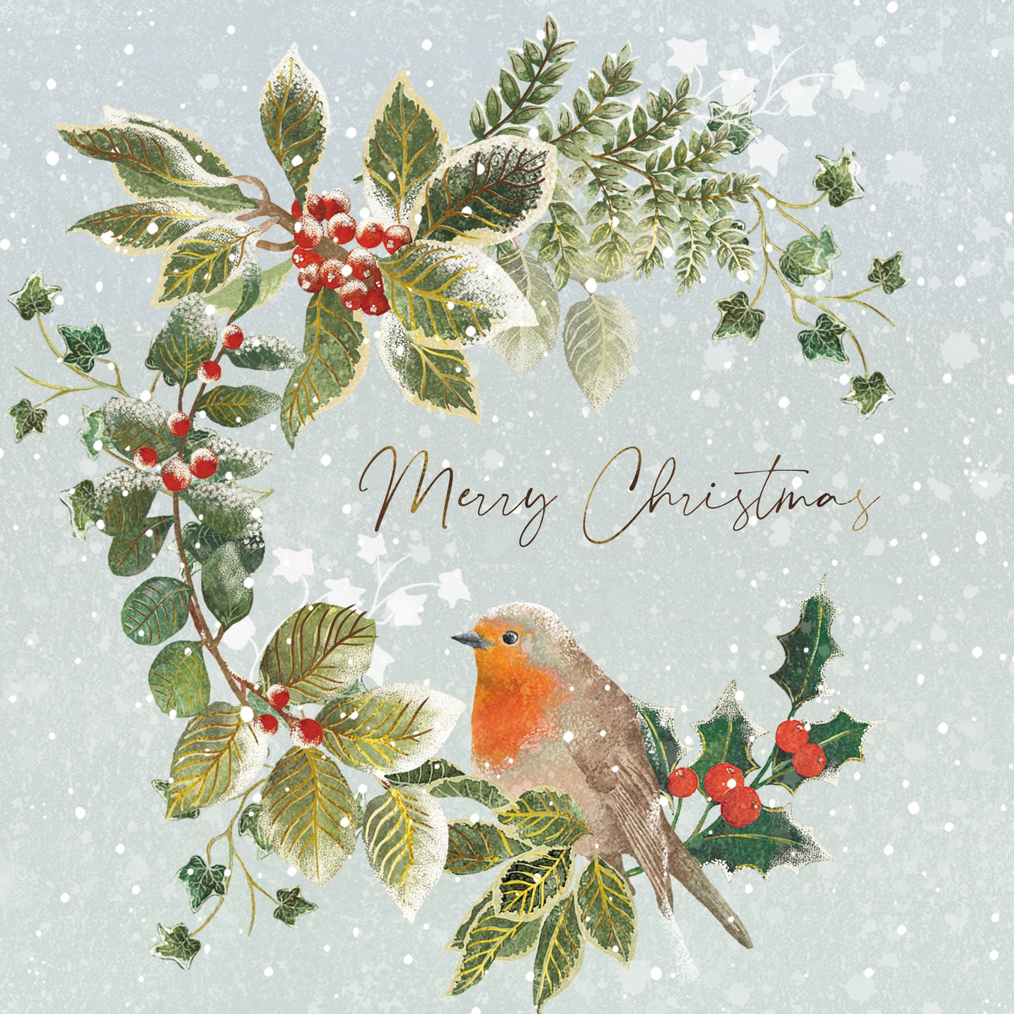 Box Of 12 Paper House Festive Xmas Robin Christmas Cards In 3 Designs