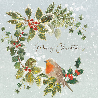Box Of 12 Paper House Festive Xmas Robin Christmas Cards In 3 Designs