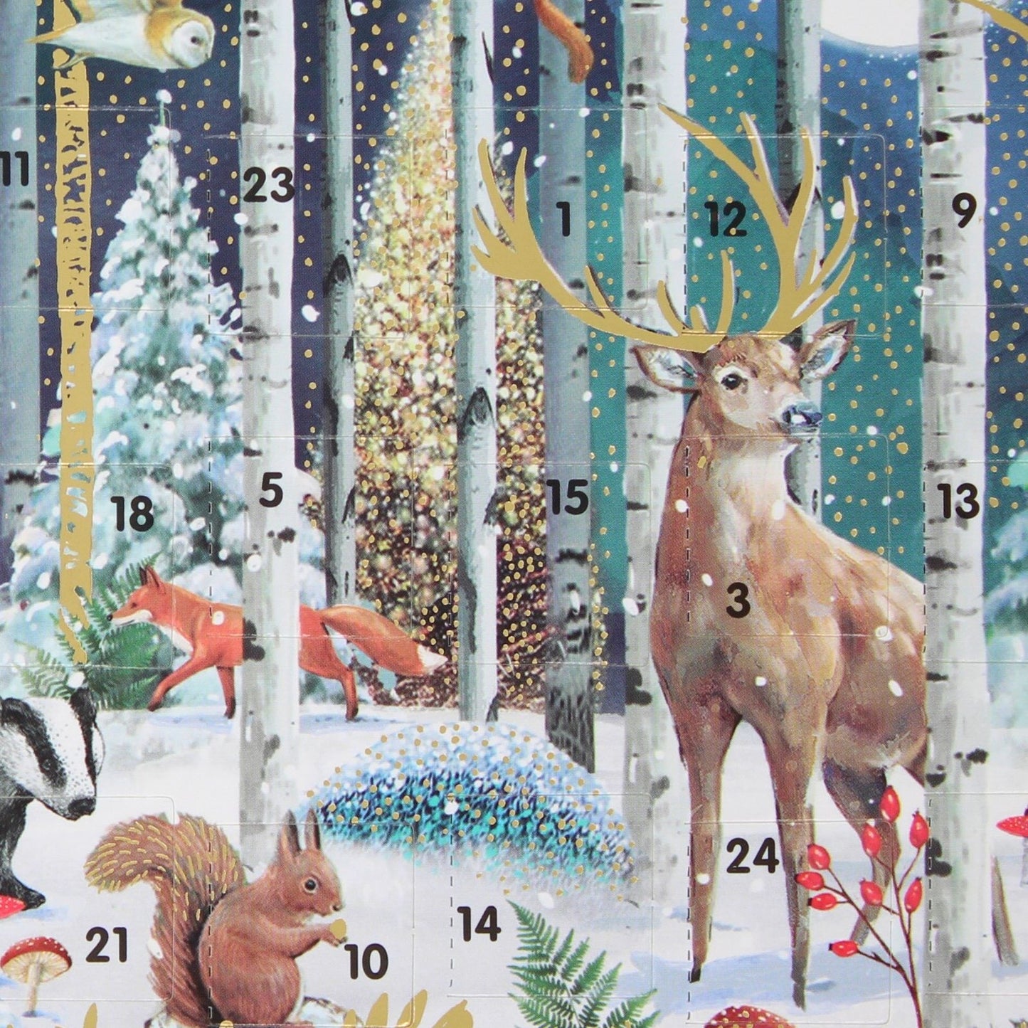 Advent Calendar Christmas Card Magical Winter Forest Xmas Countdown Card