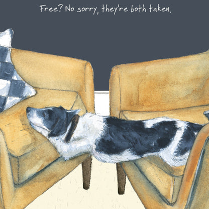 Sorry They Are Both Taken Little Dog Laughed Greeting Card