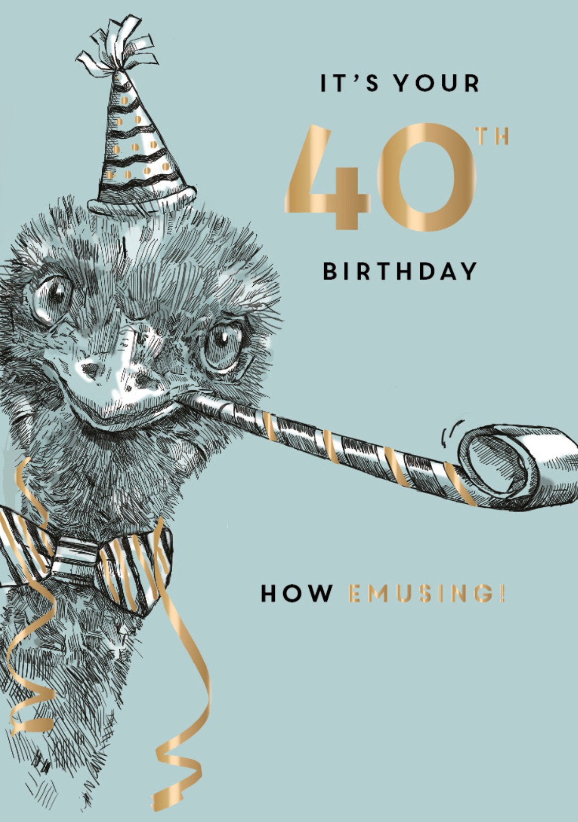 Its Your 40th How Emusing Birthday Greeting Card