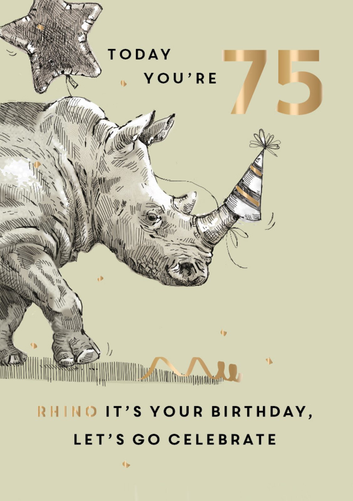 Rhino You're 75 Let's Celebrate Birthday Greeting Card