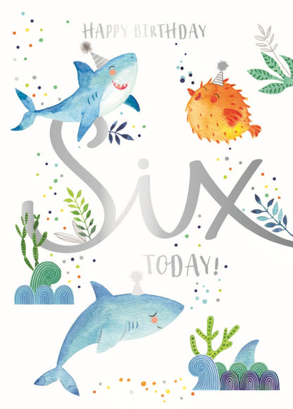 Party Under The Sea 6th Birthday Greeting Card