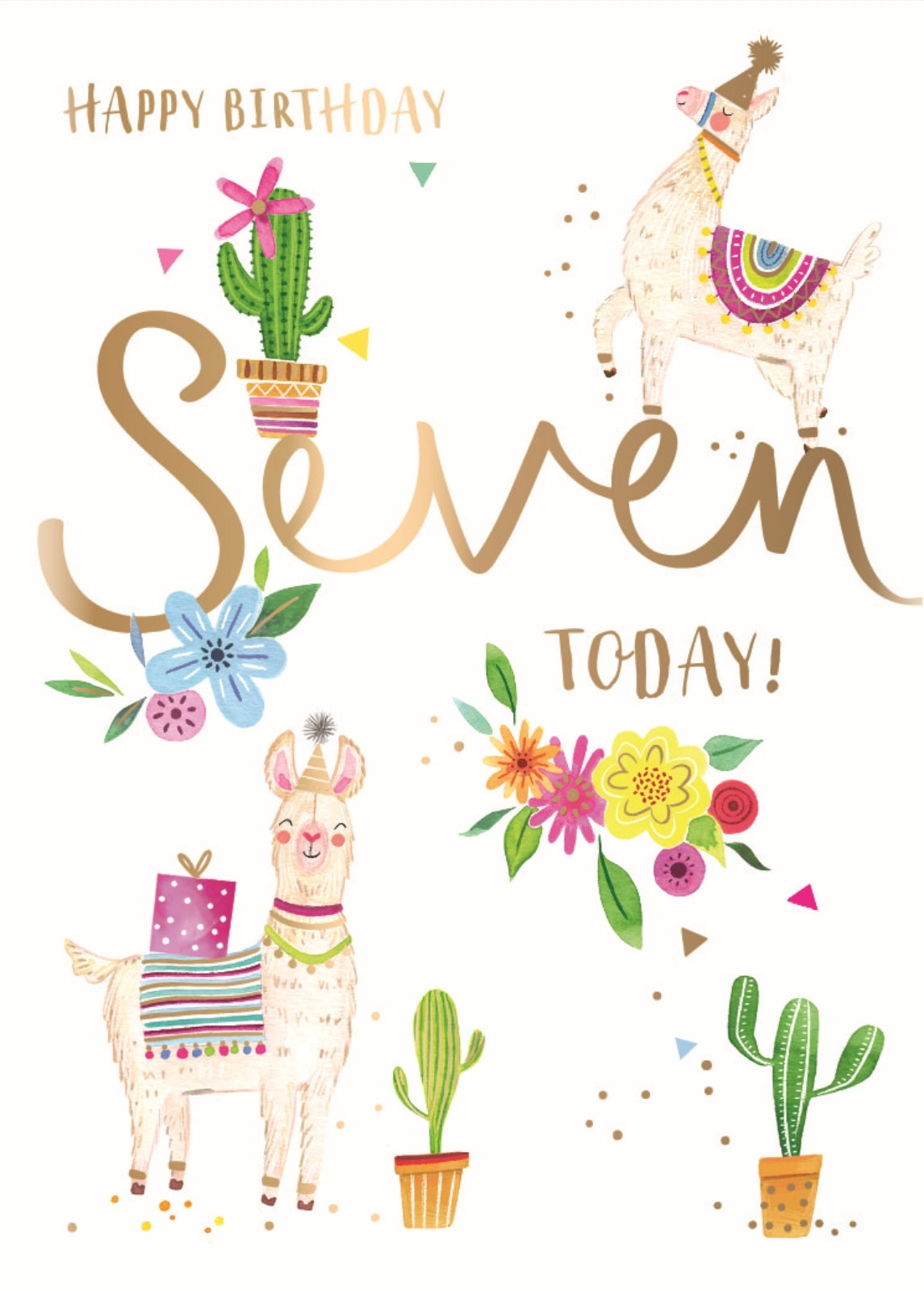 Llamas Party 7th Birthday Greeting Card