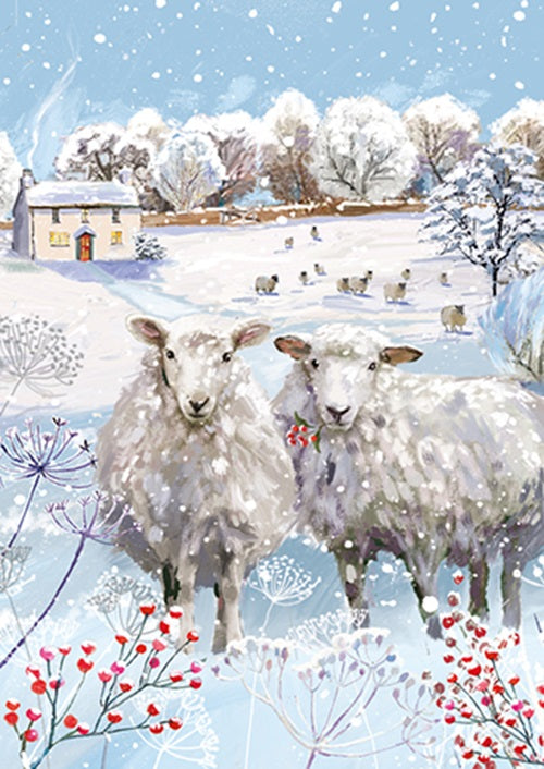 Box Of 24 Assorted Christmas Cards Winter Wildlife Xmas Card Boxes