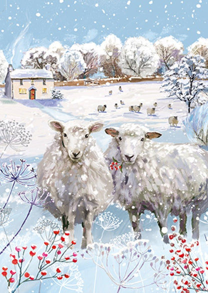 Box Of 24 Assorted Christmas Cards Winter Wildlife Xmas Card Boxes