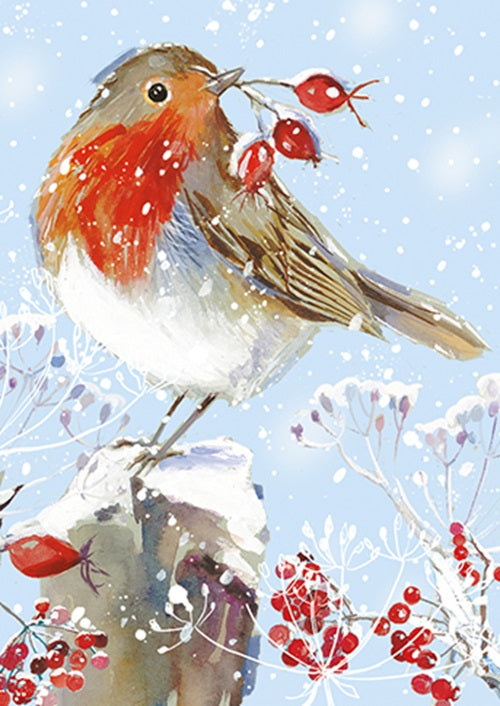 Box Of 24 Assorted Christmas Cards Winter Wildlife Xmas Card Boxes
