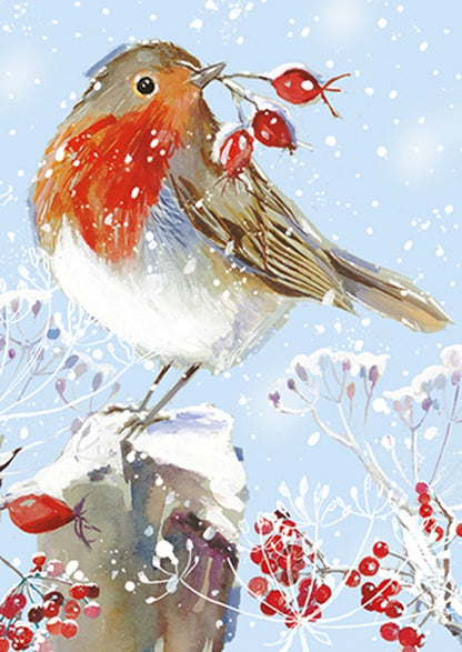 Box Of 24 Assorted Christmas Cards Winter Wildlife Xmas Card Boxes