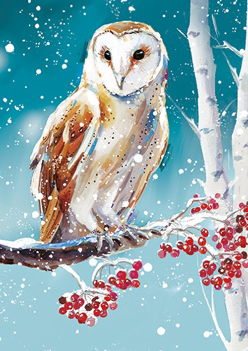Box Of 24 Assorted Christmas Cards Winter Wildlife Xmas Card Boxes