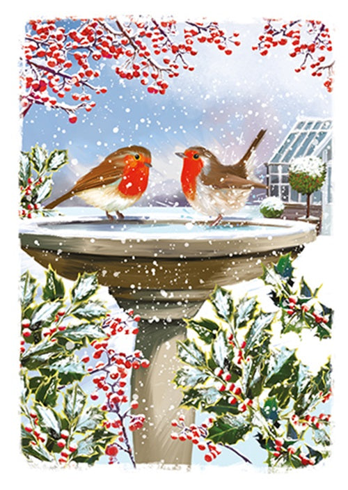 Box Of 24 Assorted Christmas Cards At Home Winter Wonderland Xmas Card Boxes