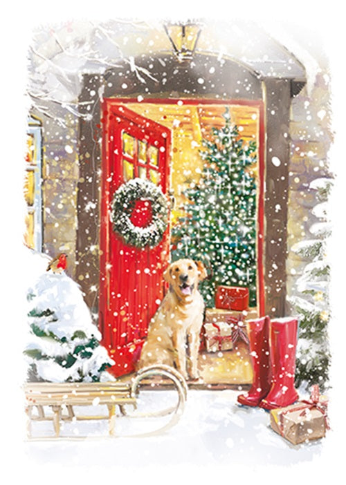 Box Of 24 Assorted Christmas Cards At Home Winter Wonderland Xmas Card Boxes