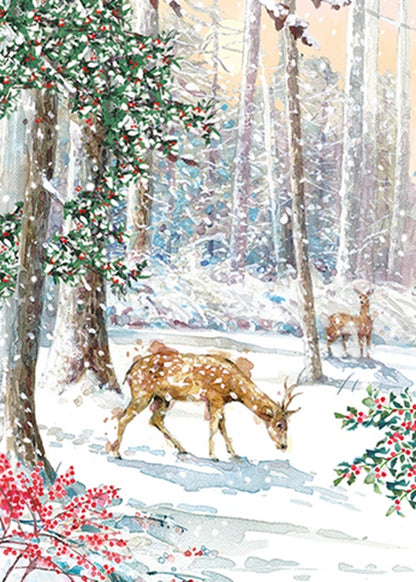 Box Of 24 Assorted Christmas Cards Snowy Winter Wonderland Xmas Card Boxes