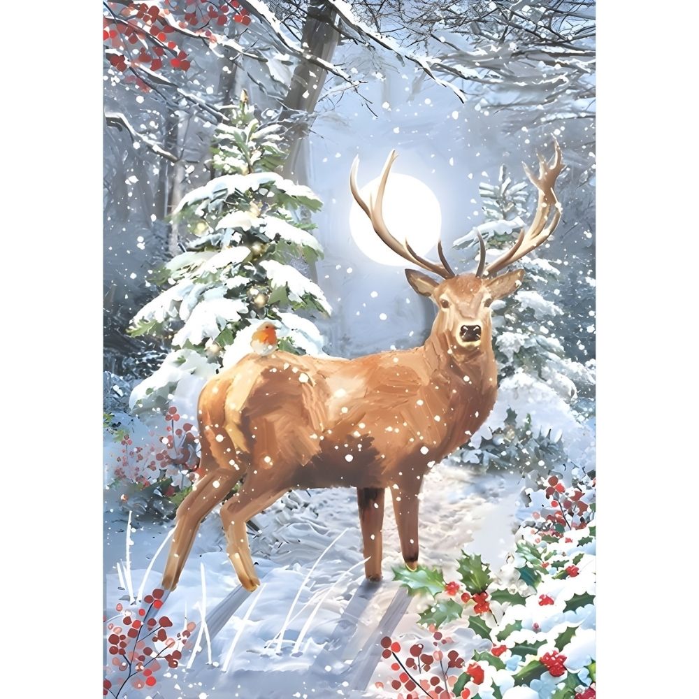 Box of 24 Christmas Cards Magical Winter Wildlife Xmas Cards In 6 Designs