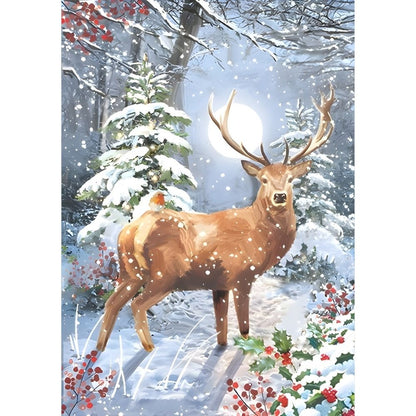 Box of 24 Christmas Cards Magical Winter Wildlife Xmas Cards In 6 Designs