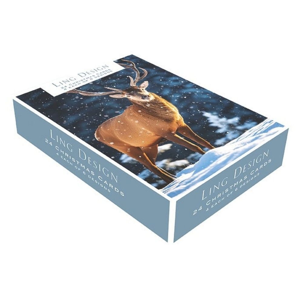 Box of 24 Christmas Cards Festive Animal Friends Xmas Cards In 6 Designs