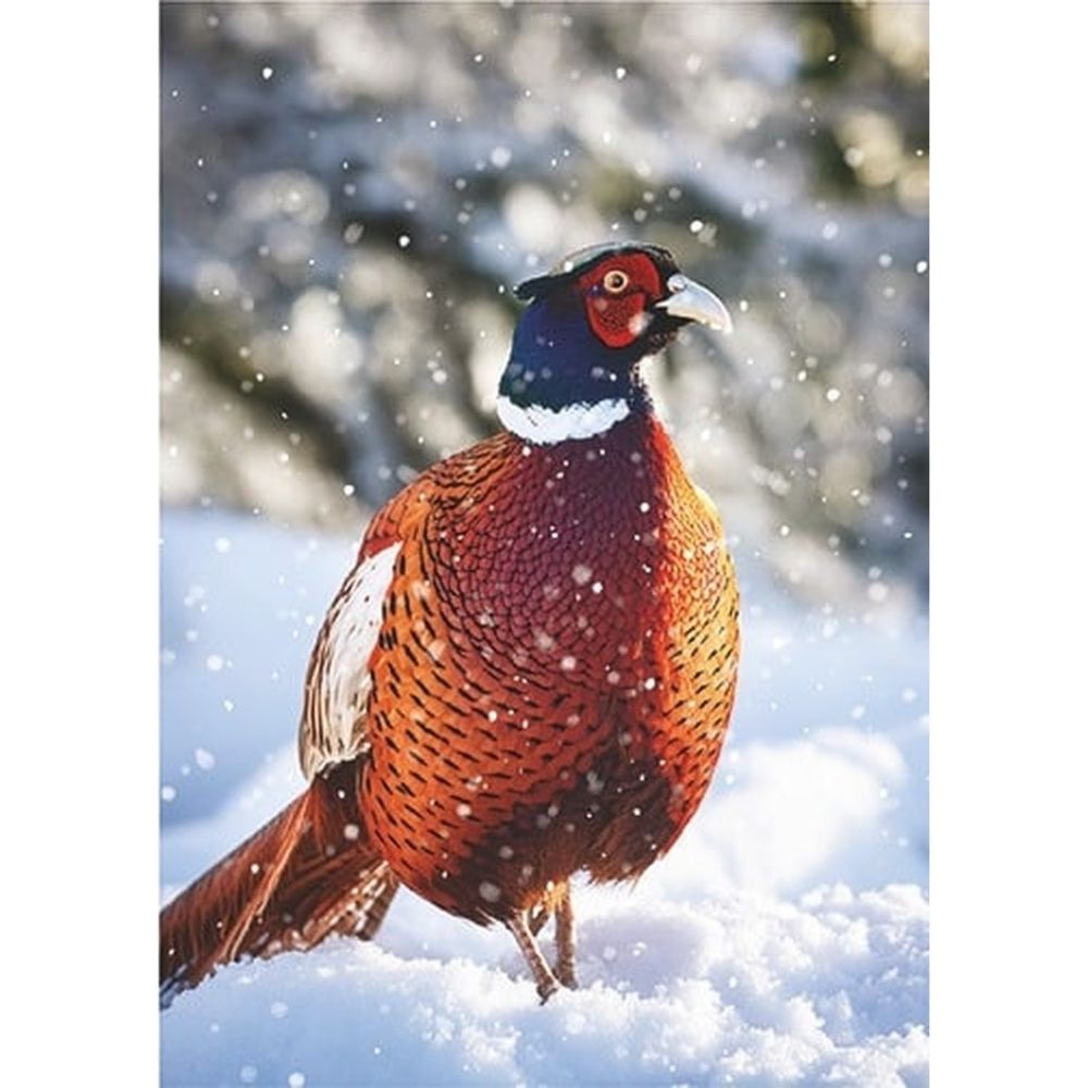 Box of 24 Christmas Cards Festive Animal Friends Xmas Cards In 6 Designs
