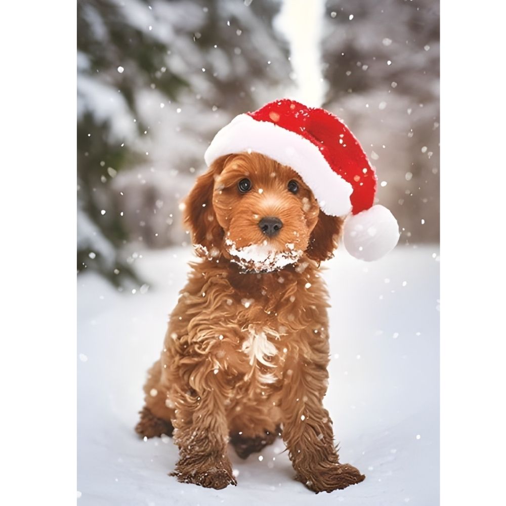 Box of 24 Christmas Cards Festive Animal Friends Xmas Cards In 6 Designs