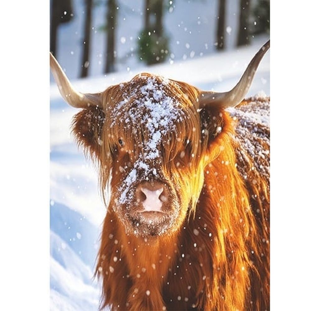 Box of 24 Christmas Cards Festive Animal Friends Xmas Cards In 6 Designs