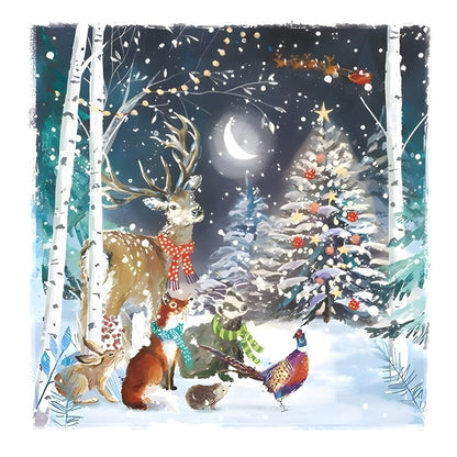 Charity Box of 30 Christmas Cards Wildlife Cards Supporting Multiple Charities