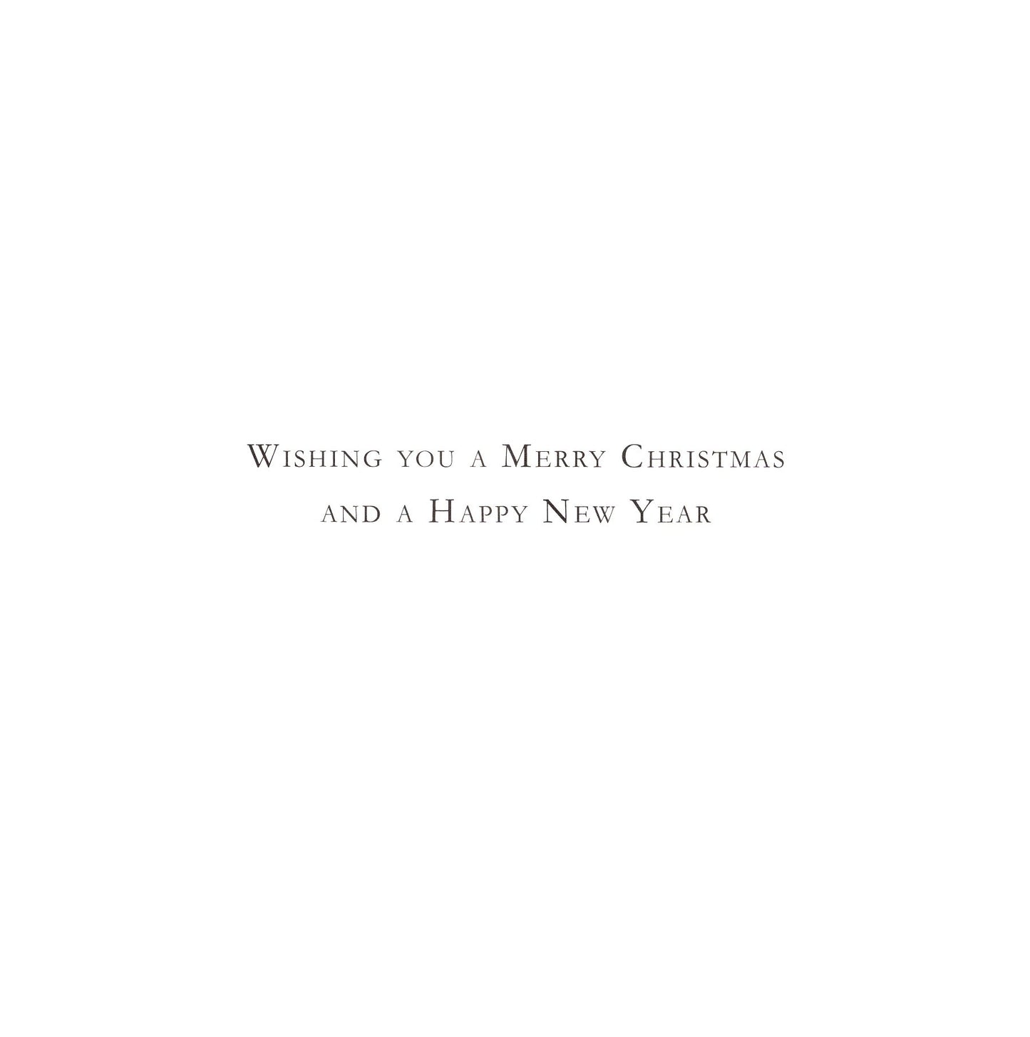 Charity Box of 30 Christmas Cards Wildlife Cards Supporting Multiple Charities