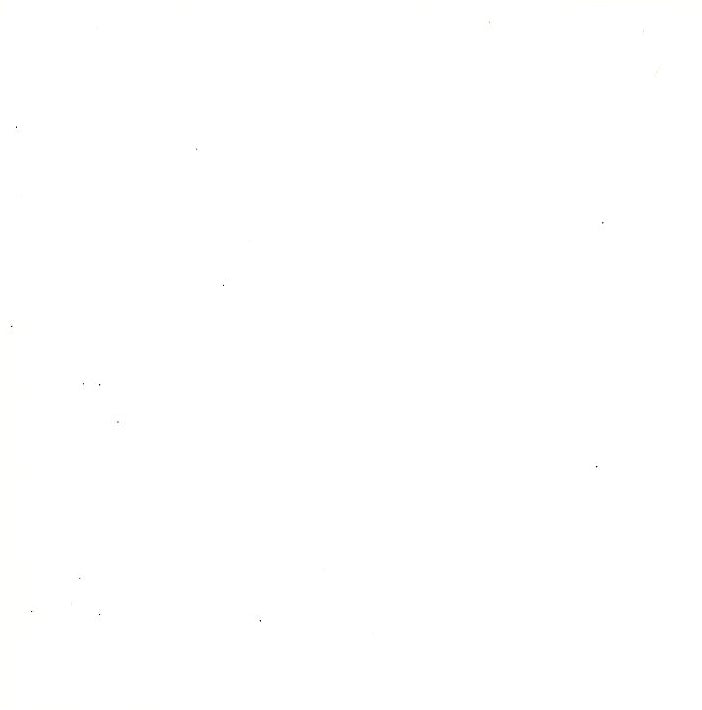 Wonderful Mum Dalmatian Dog With Love Foiled Mother's Day Card