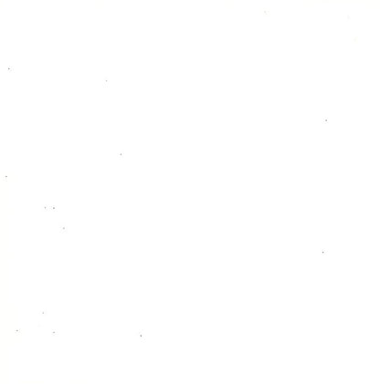 Wonderful Mum Dalmatian Dog With Love Foiled Mother's Day Card